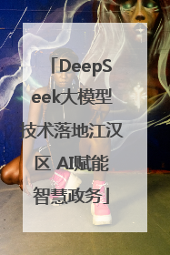 DeepSeek大模型技术落地江汉区 AI赋能智慧政务