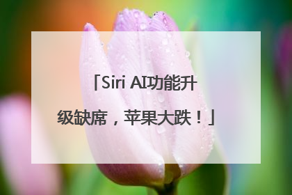 Siri AI功能升级缺席，苹果大跌！